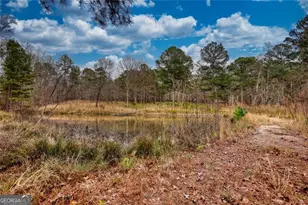 2491 Reids Ferry Rd, Buckhead, GA 30625 - Photo 76