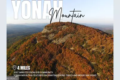 36 Village Court #15, Cleveland, GA 30528 - Photo 26