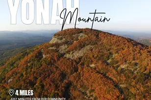 36 Village Ct, Cleveland, GA 30528 - Photo 26