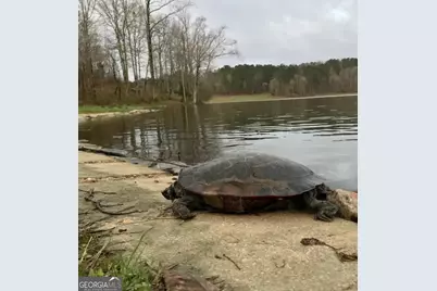 175 Thornton Road, Franklin, GA 30217 - Photo 112