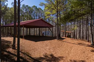 175 Thornton Rd, Franklin, GA 30217 - Photo 80