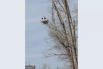 175 Thornton Road, Franklin, GA 30217 - Photo 118