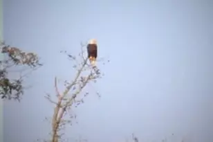 175 Thornton Rd, Franklin, GA 30217 - Photo 116