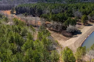 175 Thornton Rd, Franklin, GA 30217 - Photo 94