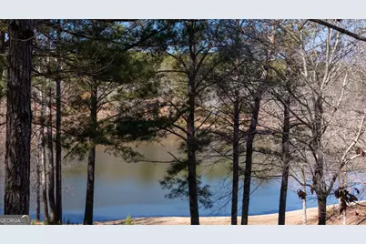 175 Thornton Road, Franklin, GA 30217 - Photo 102