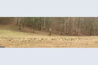 175 Thornton Road, Franklin, GA 30217 - Photo 128