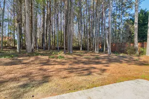 1250 McAllistar Dr, Locust Grove, GA 30248 - Photo 48