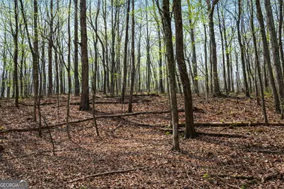 2315 Stonepile Road #LOT 4, Clarkesville, GA 30523 - Photo 1