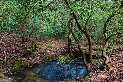 2315 Stonepile Road #LOT 4, Clarkesville, GA 30523 - Photo 16