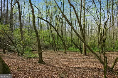 2315 Stonepile Road #LOT 4, Clarkesville, GA 30523 - Photo 14