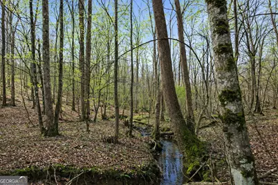 2315 Stonepile Road #LOT 4, Clarkesville, GA 30523 - Photo 10