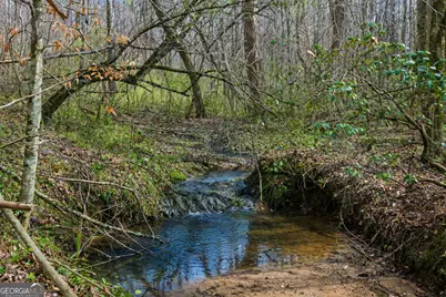 2315 Stonepile Road #LOT 4, Clarkesville, GA 30523 - Photo 4