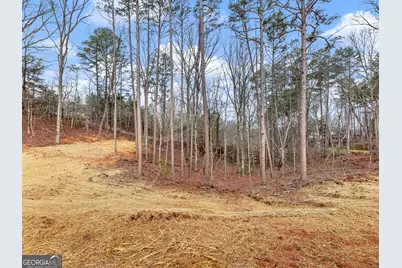7668 Pea Ridge Road, Lula, GA 30554 - Photo 36