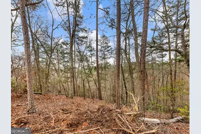 7668 Pea Ridge Road, Lula, GA 30554 - Photo 32