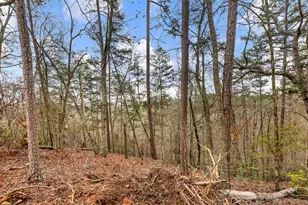 7668 Pea Ridge Rd, Lula, GA 30554 - Photo 32