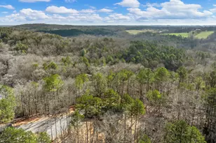 7668 Pea Ridge Rd, Lula, GA 30554 - Photo 40