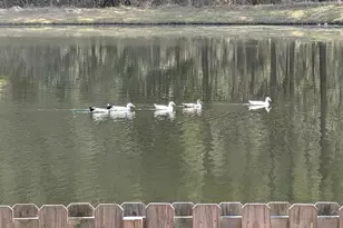 512 Adelante Ln, Guyton, GA 31312 - Photo 46