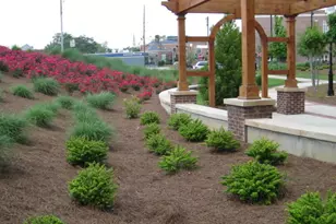 42 Main St, Newnan, GA 30263 - Photo 50