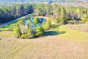 1881 Bell Telephone Rd, Hazlehurst, GA 31539 - Photo 64