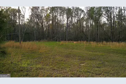 2837 Highway 56, Midville, GA 30441 - Photo 1