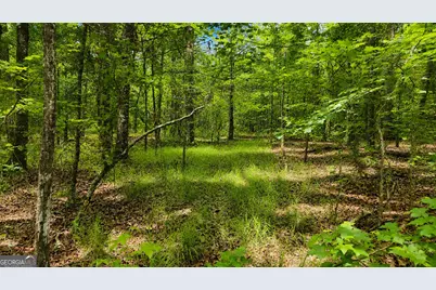 144 U.S Highway 341 S, Barnesville, GA 30204 - Photo 16