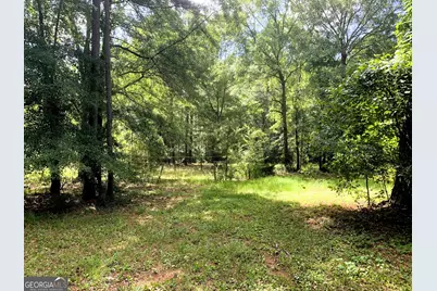 4170 Hollonville Road, Williamson, GA 30292 - Photo 76