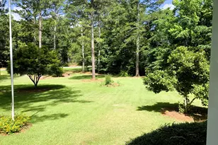 4170 Hollonville Rd, Williamson, GA 30292 - Photo 104