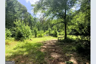4170 Hollonville Road, Williamson, GA 30292 - Photo 74