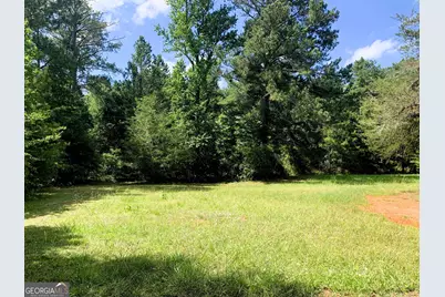4170 Hollonville Road, Williamson, GA 30292 - Photo 80