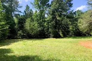 4170 Hollonville Rd, Williamson, GA 30292 - Photo 80