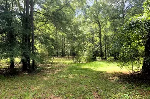 4170 Hollonville Rd, Williamson, GA 30292 - Photo 70