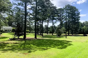 4170 Hollonville Rd, Williamson, GA 30292 - Photo 122