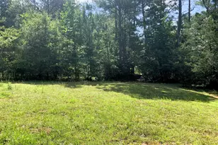 4170 Hollonville Rd, Williamson, GA 30292 - Photo 88