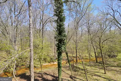 404 Blue Store Road, Forsyth, GA 31029 - Photo 60