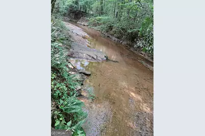 404 Blue Store Road, Forsyth, GA 31029 - Photo 68