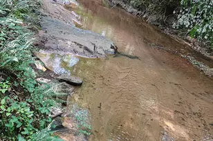 404 Blue Store Rd, Forsyth, GA 31029 - Photo 68