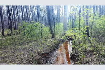 0 Stagecoach Road #20.17 ACRES, Stockbridge, GA 30281 - Photo 4