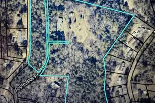 130 Apple Blossom Ln, Summerville, GA 30747 - Photo 50