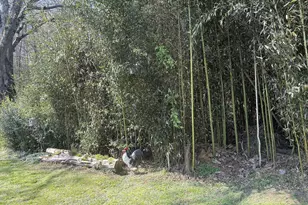 3830 Hwy 41 N, Resaca, GA 30735 - Photo 94