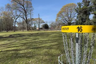 340 Bryans Dr, McDonough, GA 30252 - Photo 80