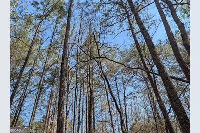 637 Minardi Drive, Hogansville, GA 30230 - Photo 12