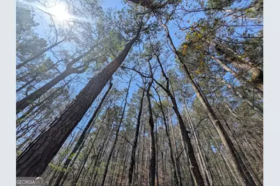 637 Minardi Drive, Hogansville, GA 30230 - Photo 14