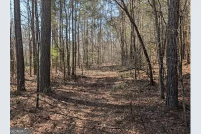 637 Minardi Drive, Hogansville, GA 30230 - Photo 10