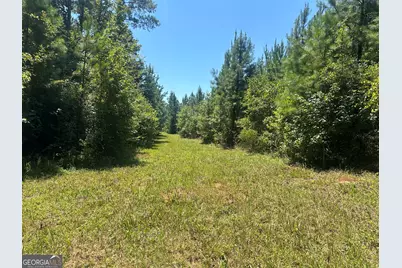 49 Acres Jordon Road, Waverly Hall, GA 31831 - Photo 12