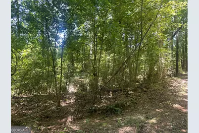 49 Acres Jordon Road, Waverly Hall, GA 31831 - Photo 22