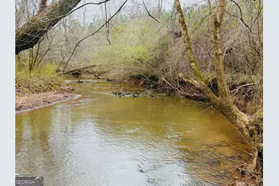 49 Acres Jordon Road, Waverly Hall, GA 31831 - Photo 6