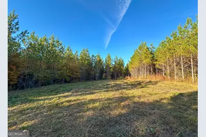 49 Acres Jordon Road, Waverly Hall, GA 31831 - Photo 20