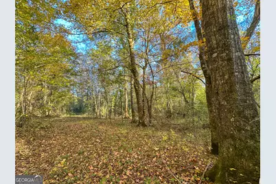 49 Acres Jordon Road, Waverly Hall, GA 31831 - Photo 10