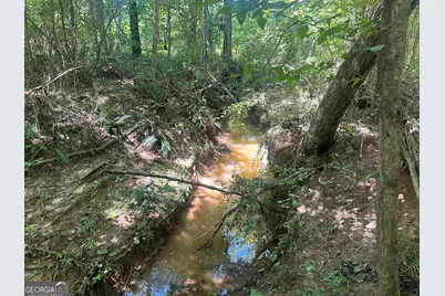 49 Acres Jordon Road, Waverly Hall, GA 31831 - Photo 16