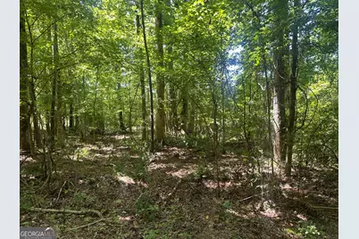 49 Acres Jordon Road, Waverly Hall, GA 31831 - Photo 18